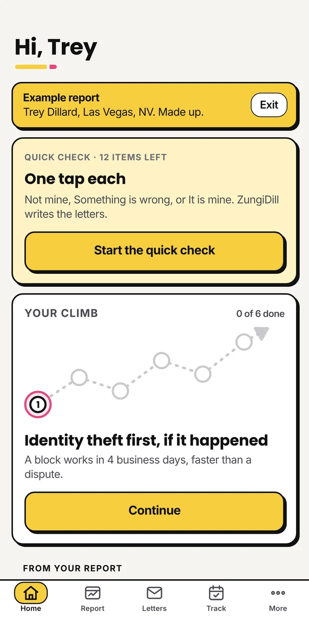 ZungiDill home screen with a quick check and your next step